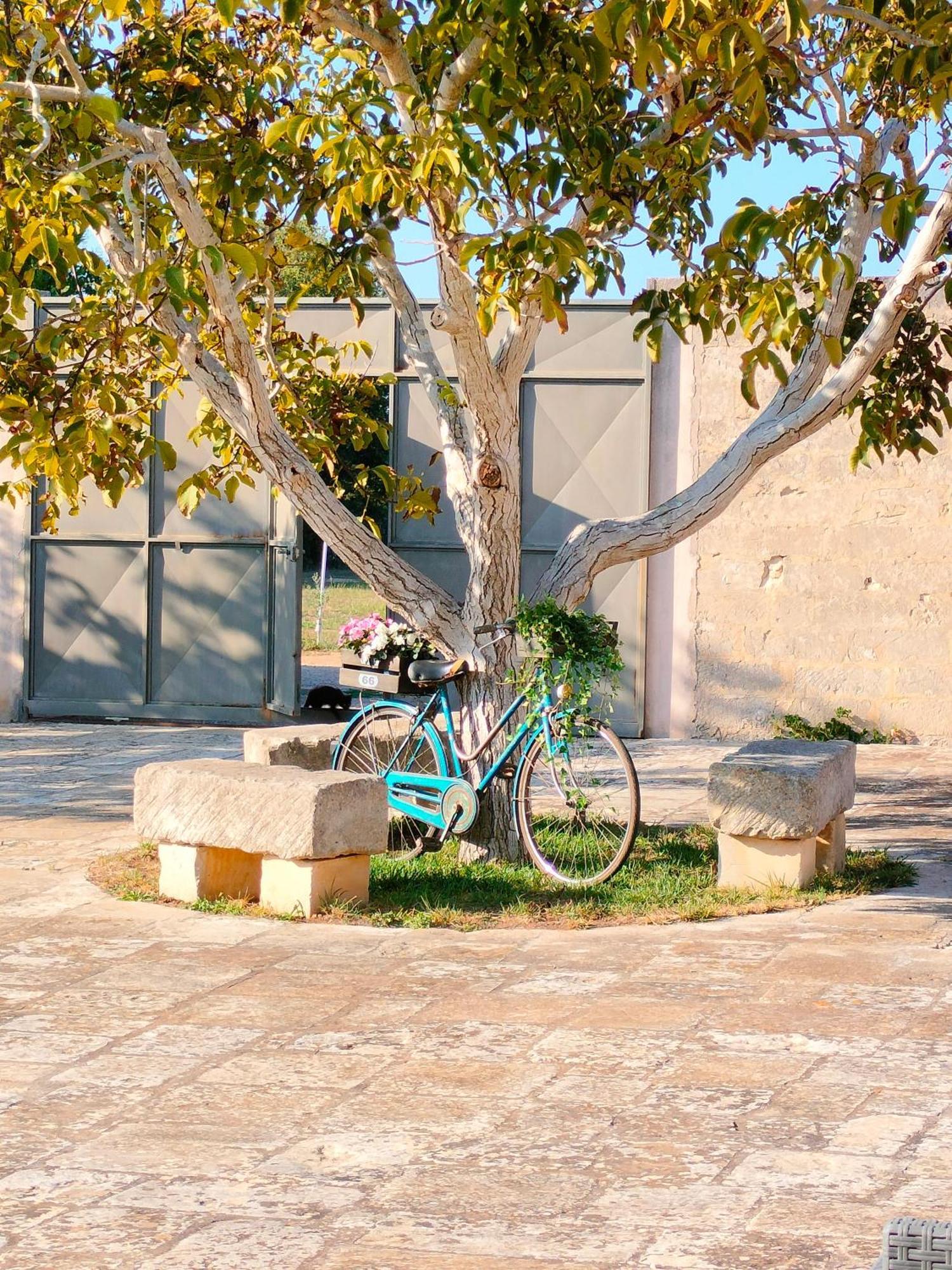 Masseria Furca อาลิมีนี ภายนอก รูปภาพ